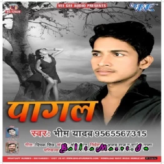 Jabse Pritya Lagal Bate Dj Remix  Bheem Yadav