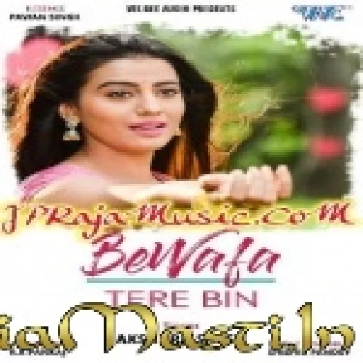 Bewafa Tere Bin (Akshara Singh) Offical Hit Mix Alok Dj